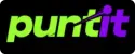 Puntit logo
